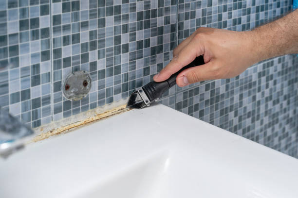 Best Residential Mold Remediation in Culver City, CA